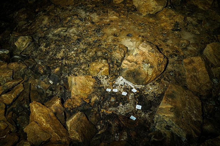 又有新發(fā)現(xiàn)!貴州綏陽(yáng)雙河洞第24次國(guó)際洞穴科考成果發(fā)布